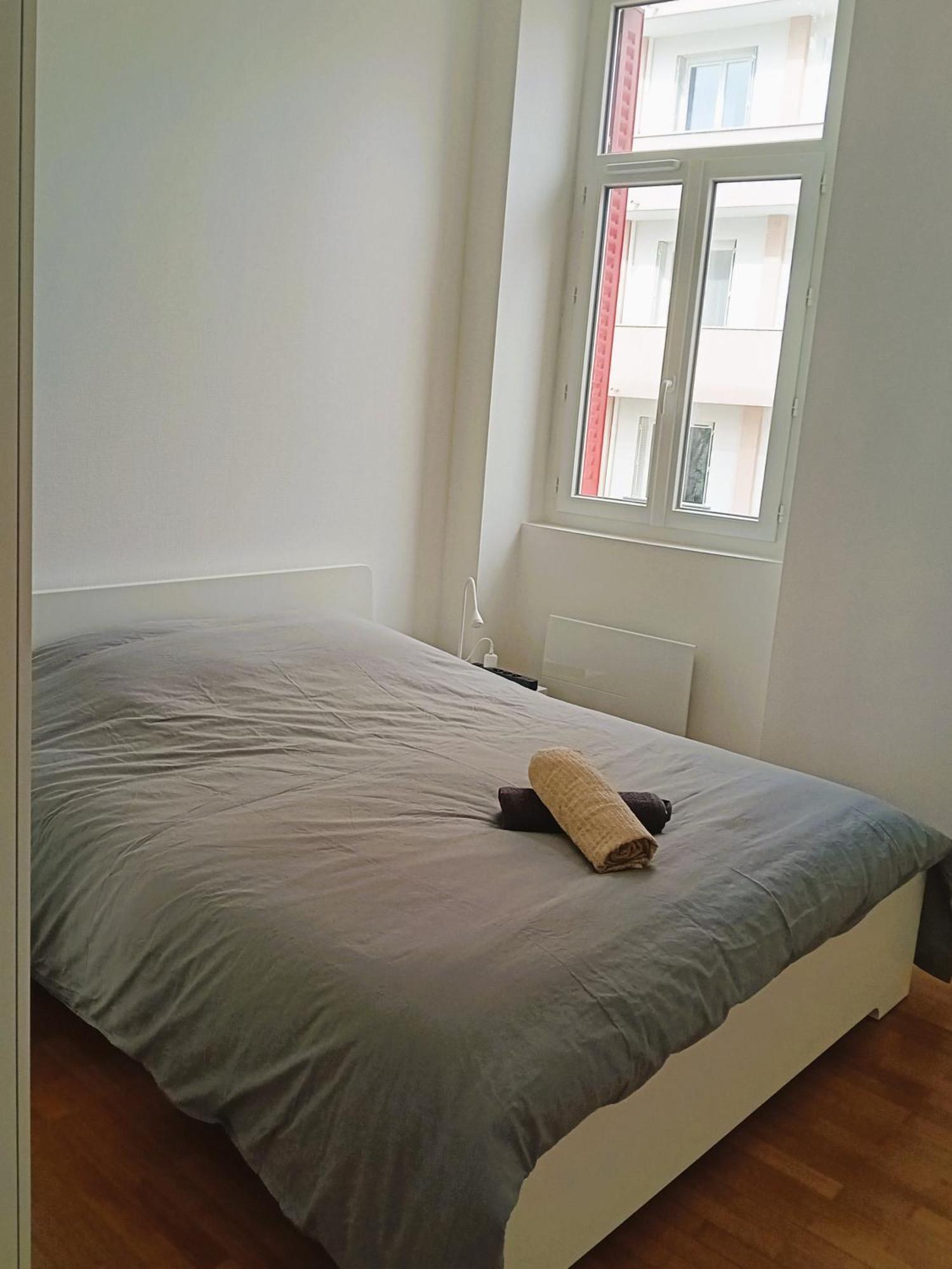 102 - Appart Renove Avec Grand Salon Et 1 Chambre - Tram Et Clinique Mutualiste A 1 Min Grenoble Exteriér fotografie